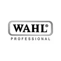 Wahl-2